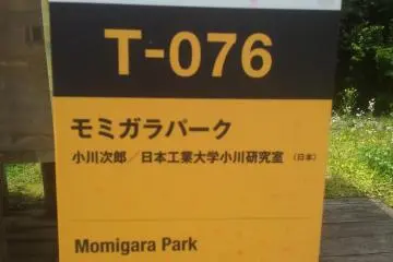 Follow the yellow signs...