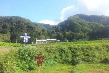 N012 - Nakasato Scarecrow Garden by Chris Matthews