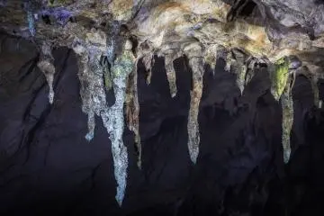 Stalactites grow at a pace of 2 cm (just under an inch) per 250 years; these are the length of a car