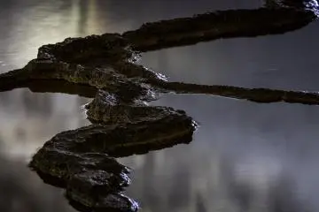 Rimstone dam closeup; these mineral formations echo terraced rice paddies crafted by humans in the world above