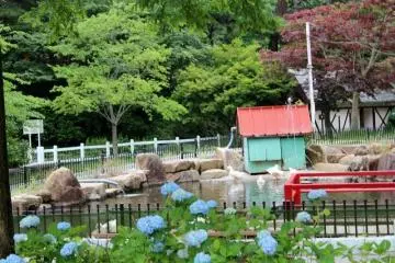 <p>บ่อเป็ด</p>