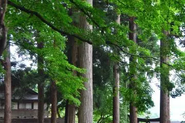 <p>The shiny, red torii&nbsp;(gate) that marks the entrance to the shrine.&nbsp;</p>