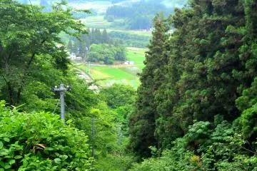 <p>Beautiful view from top of the stairs just before you enter the Kumano&nbsp;Shrine Bishamondo (Bishamon Hall).</p>