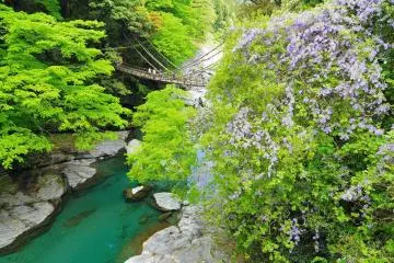 Kazura Bridge in Iya