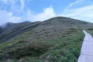 Follow the trail