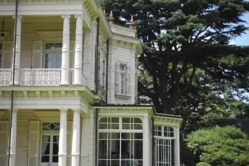 Gallery image