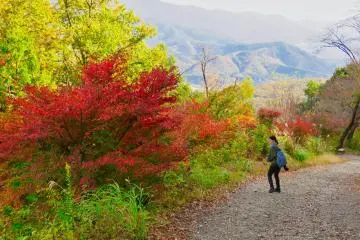 The walk back down Mt. Hodo