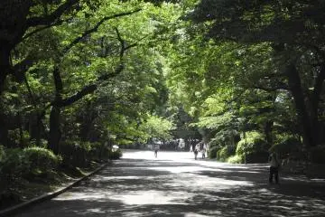 Toward the center of the park