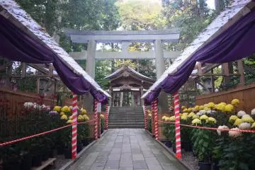 Gallery image