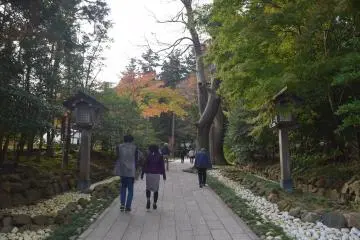 Gallery image