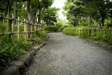 일본 정원