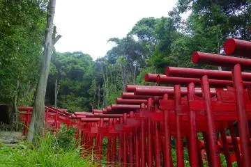 A string of torii gates lead from the Tōshō-gū Shrine up Mt Futaba-yama and to the Peace Pagoda