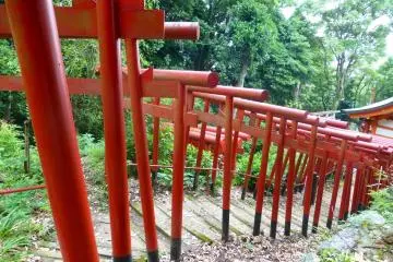 Torii gates mark the entrance to a Shinto shrine