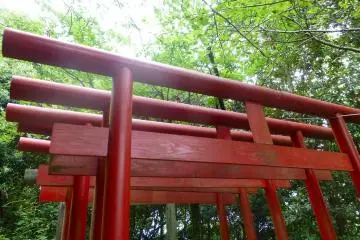 Standing tall and proud, the torii gates along Hiroshima's Peace Pagoda hiking trail are well worth a visit