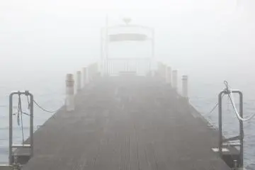 The fog at the lake was absolutely beautiful