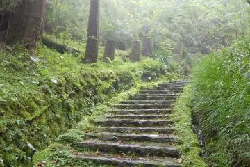 Slippery terrain