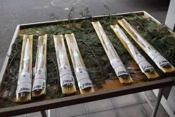 신선한 농산물