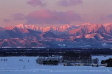 Winter views