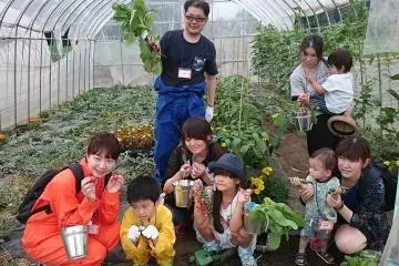Harvesting experience