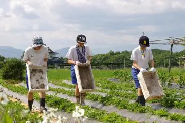 Rendez-vous au cœur du rural Tono