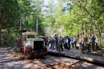 Aventures dans la forêt d’Agematsu