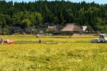 광경