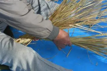 Shimenawa