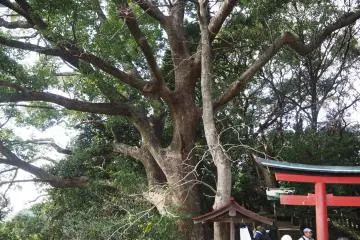 Kumano Hayakake-Michi