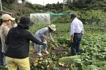 Découvrez les travaux de la ferme 