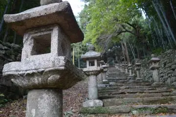 Manzongo