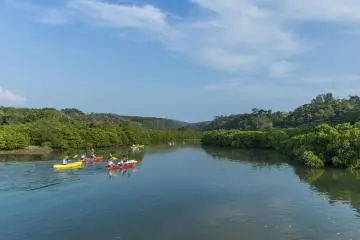Experience Hirugi Park at Higashi Village