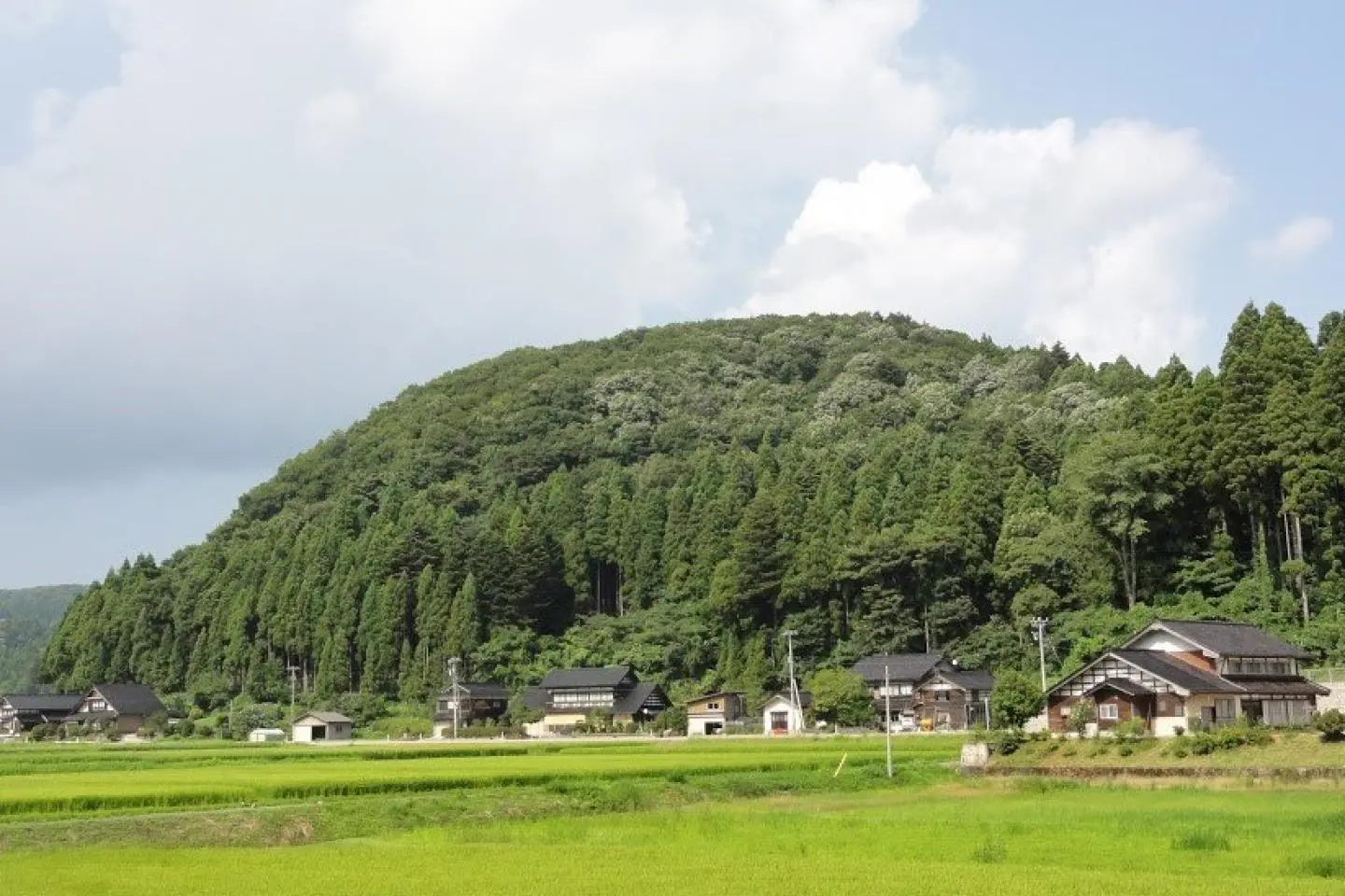 세계농업유산 지역 사진