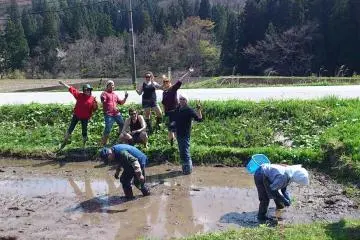 손으로 벼를 직접 심어보세요