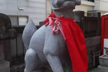 A komainu guardian wolf-dog