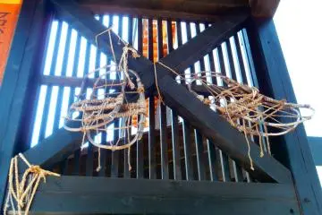 Huge sukari hanging from the side of a gate - they were used to walk in the heavy snow