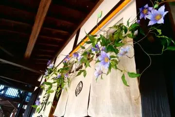 This shop with the pretty flower motif is a great place for candles and fragrance lovers