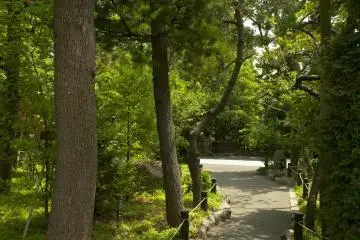 The shrine has a few little spots to explore the garden.