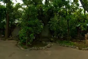 The standing stones and garden add to the atmosphere.