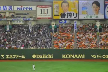 A stadium divided--Dragons fans on the left, Giants on the right