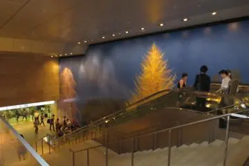 Art accompanying escalator