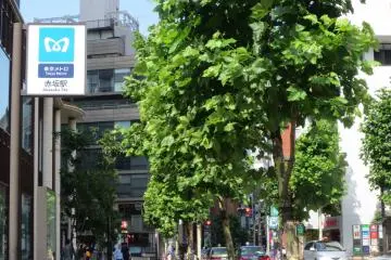 Welcome to Akasaka!