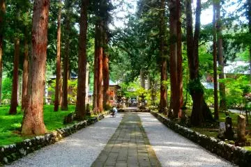 It is said that if you walk along this stone-paved road by stepping firmly, you will receive the Buddha's blessings