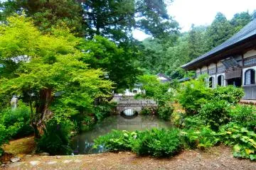 Ponds make you feel nice and cool during the heat