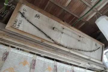 Old bow and arrow