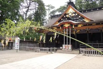 Special bamboo display for the Tanabata summer festival