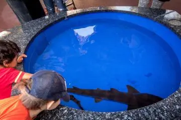 For younger visitors, this park features several ‘shallow pools’ where children can touch various fish and sea creatures