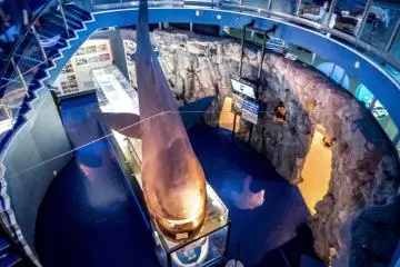 One of this park’s main attractions is its large round tank where you can walk around and see all sorts of sea life