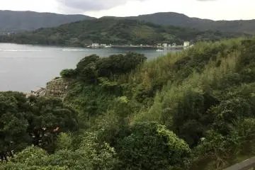 View from the room.