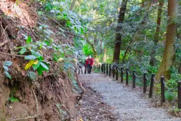 Trail up to Castle Park