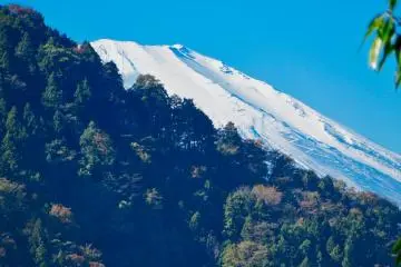 View of Mt. Fuji from the top of Castle Park